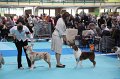 IMG_0060