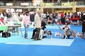IMG_0066