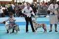 IMG_0071