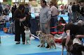 IMG_0074