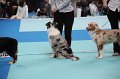 IMG_0083