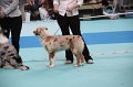 IMG_0084