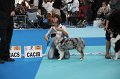 IMG_0089