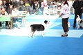 IMG_0091