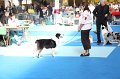 IMG_0092