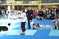 IMG_0093