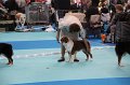 IMG_0101
