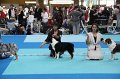 IMG_0106