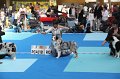IMG_0107