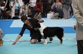 IMG_0111