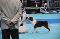 IMG_0114