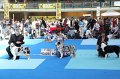 IMG_0116