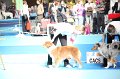 IMG_0118
