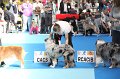 IMG_0119
