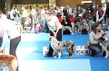 IMG_0125