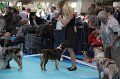 IMG_0134