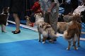 IMG_0135
