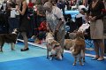IMG_0137