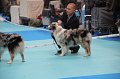IMG_0152