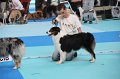 IMG_0156