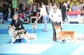 IMG_0169