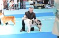 IMG_0186