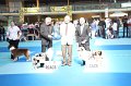 IMG_0196