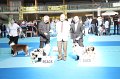 IMG_0197