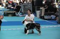 IMG_0201