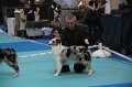 IMG_0207