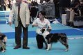 IMG_0210