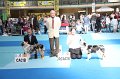 IMG_0216