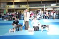 IMG_0236