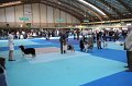 IMG_0242