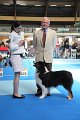 IMG_0248