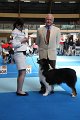 IMG_0258