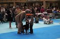 IMG_0265
