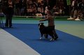 IMG_0274