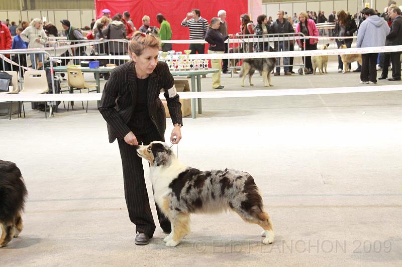 IMG_0144.JPG