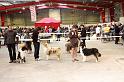 IMG_0020