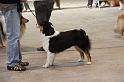 IMG_0031