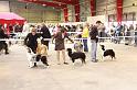 IMG_0048