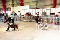 IMG_0056