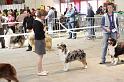 IMG_0076