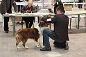 IMG_0079