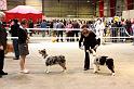 IMG_0084