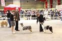 IMG_0091