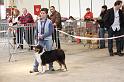 IMG_0096