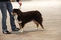 IMG_0113