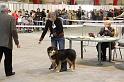IMG_0116